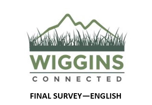 FINAL SURVEY IN ENGLISH