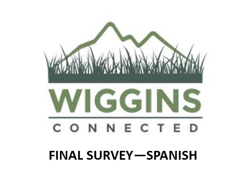 FINAL SURVEY IN SPANISH