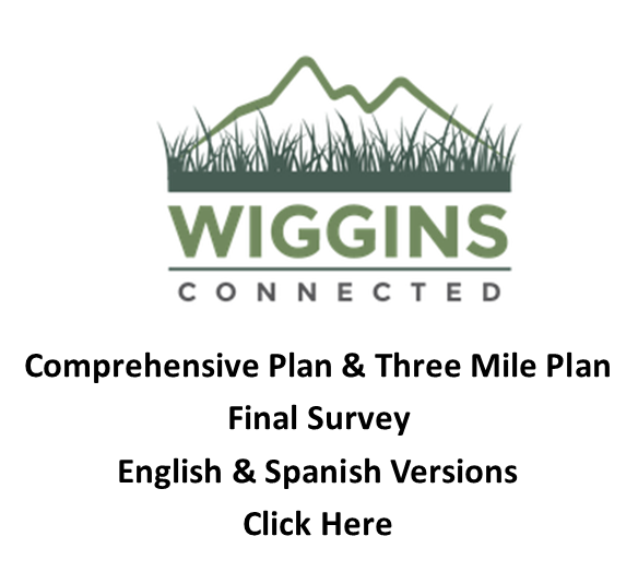 Final Survey for Wiggins Comprehensive Plan
